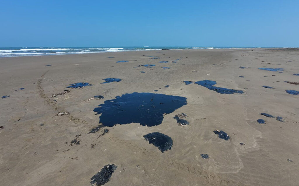 0e3ec2a4b22242d79c6766c7a504c651