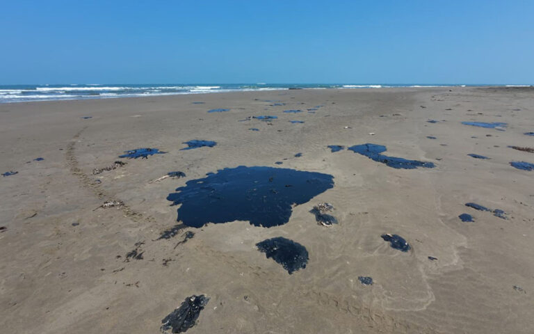 0e3ec2a4b22242d79c6766c7a504c651