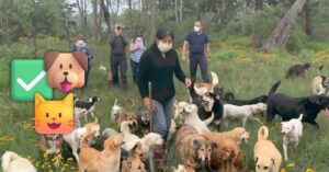 113c8aceb0094771a41d9e23db249a6a