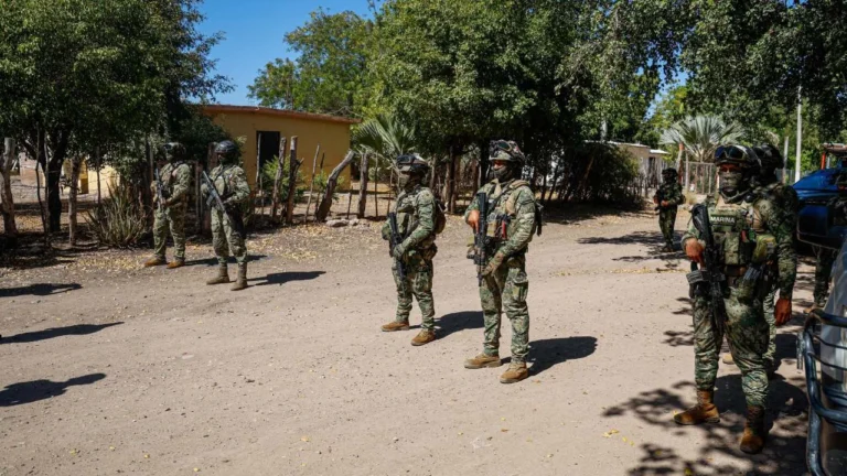 1dde97937715476b923b6a48a25748ae