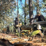 260aef777b4b45258e9ab2236e614d0b