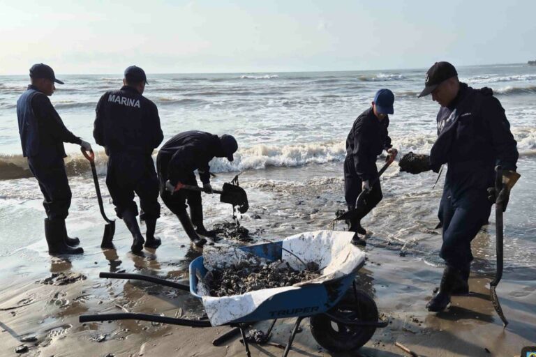 3c0261adf1914ac09bce243bdf6d4f99