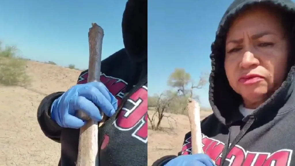 459c921403014a4b9f18cf89323f71e2