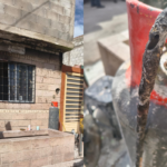 4c432eed66974352860adfeebc9fbd48