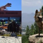 556a36ae07b04acc832de439f44a588d