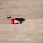 556b02726e9f4019b67e9d48d1302b39