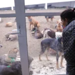 6704fef4db7f45609659c0dee0d4f269