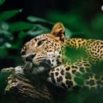 8222ccc365e84ff68bd584944c794643