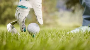 8614ca9e80594d09921724796c8e1acb