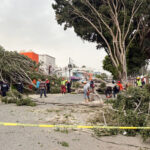 a5aa5b20f7fc434586b46d05d50aa8ca