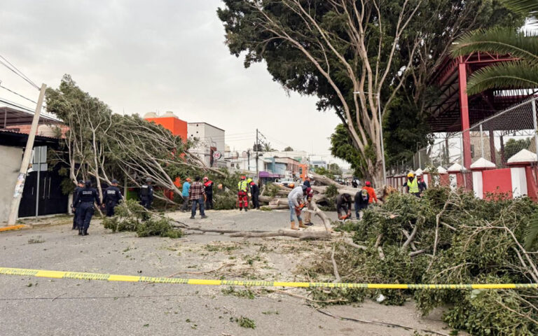 a5aa5b20f7fc434586b46d05d50aa8ca