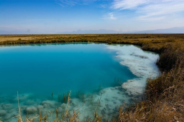 c3f3b98226354db0a0ecbbd457321145