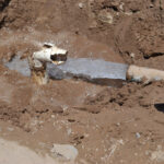 c418376dbd2a4ed486a3428994e65a48