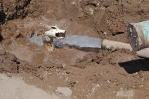 c418376dbd2a4ed486a3428994e65a48