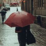 d61e540974da42e4a3c86e43cb54a76e