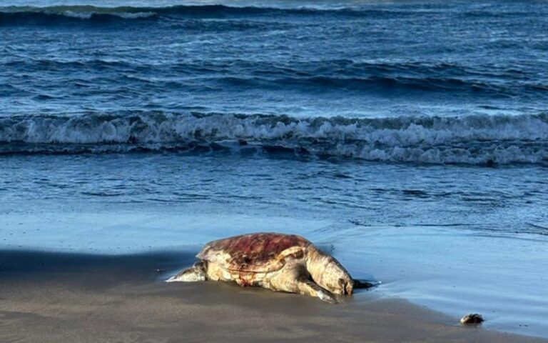 d8f73ca4868f427d9afbba5edc0d8b8a