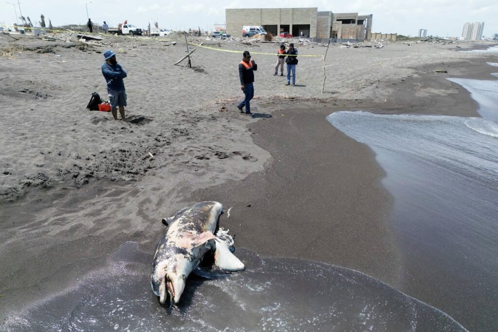 dcdc992e241349be9e8650bb2c1a1950