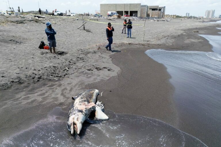 dcdc992e241349be9e8650bb2c1a1950