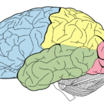 elcere_8f447b48e9d4_0