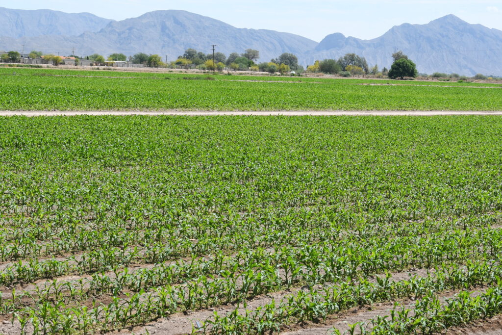 0458c99523fd44f1aa69b9f38491e397