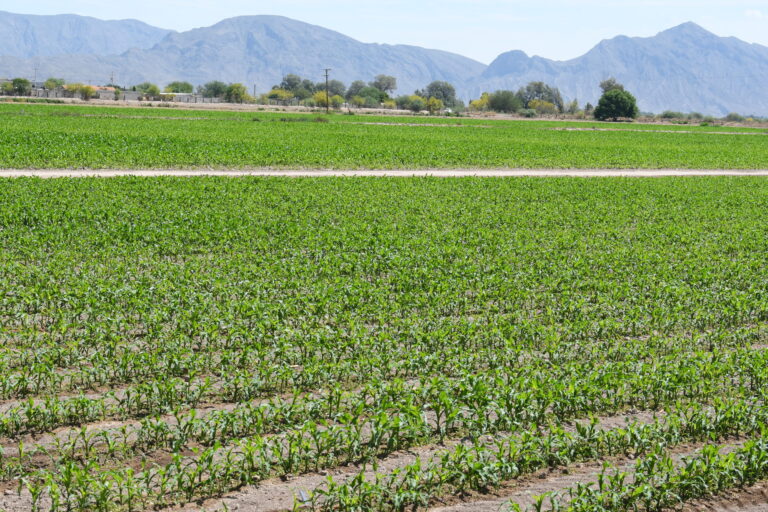 0458c99523fd44f1aa69b9f38491e397