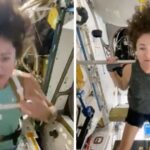 0d99ac11f2dd4cb7ad7e83f912611ffb