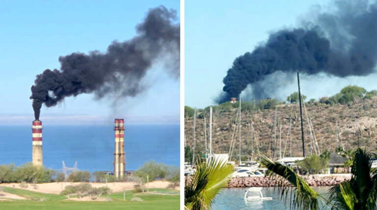 1b6f1036bf1946b49a491115ad51db15