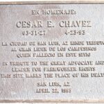 213b4dbd720d40238315b7011339a7ff