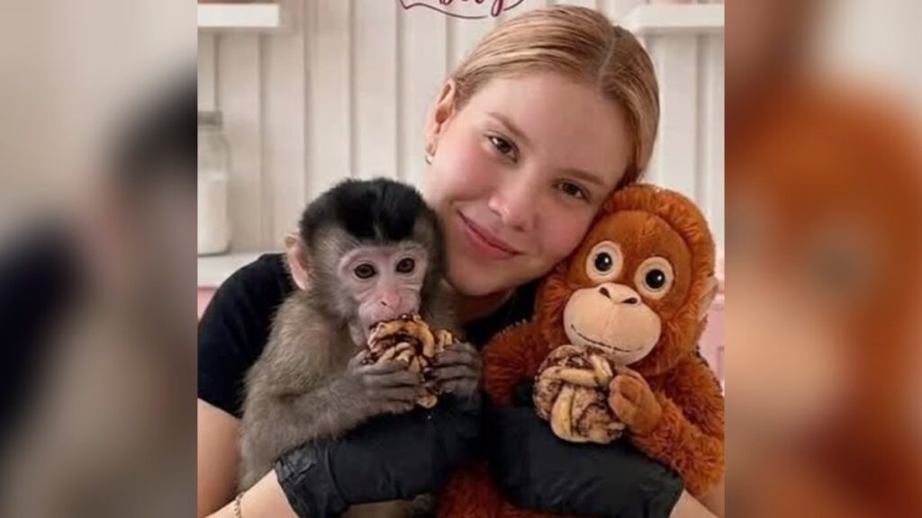 31d1f678e62949a4b936e6fbbf29c958