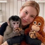 31d1f678e62949a4b936e6fbbf29c958