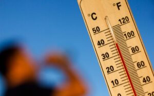 31f6dab0adc84dd8a812a89958572ece