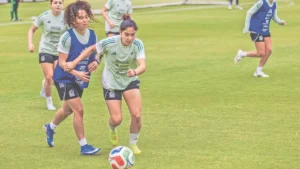 32a6bc6e1e584123907fd86628d7391b