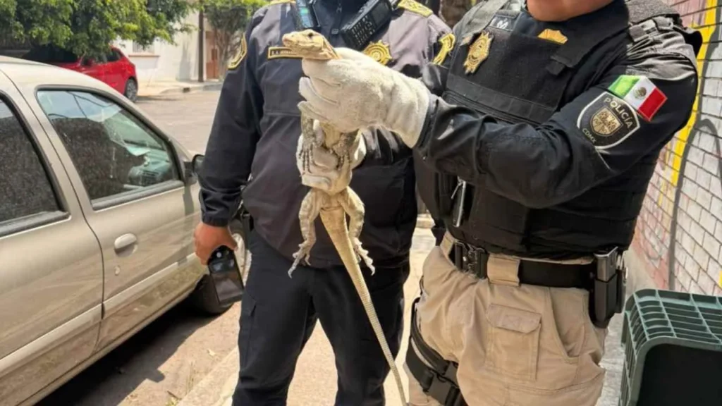 345800b056bb494bbaa5e0e0b370bc77