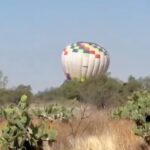 3e7378d1d5464fd49a83083195206943