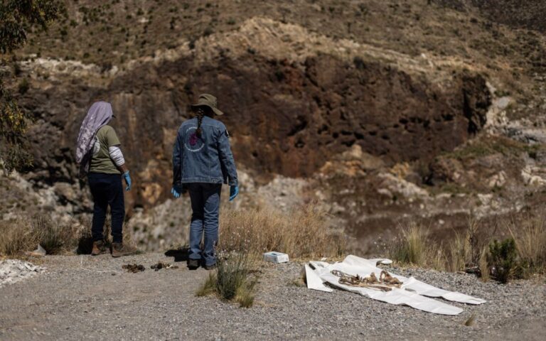 4246d89fc0394354a19646242b105c1f