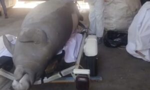 43cd85f220de4807ac5083b16198e3b7