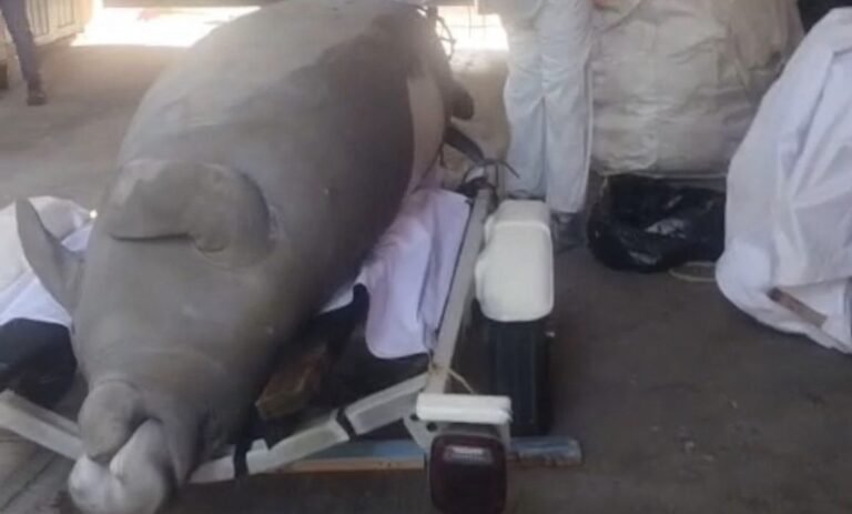 43cd85f220de4807ac5083b16198e3b7