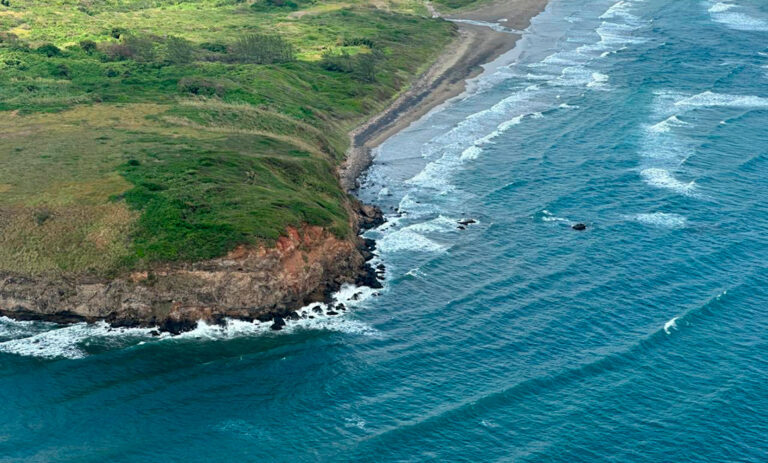 48d89c30f8c440a8ad33df9caf5ab421