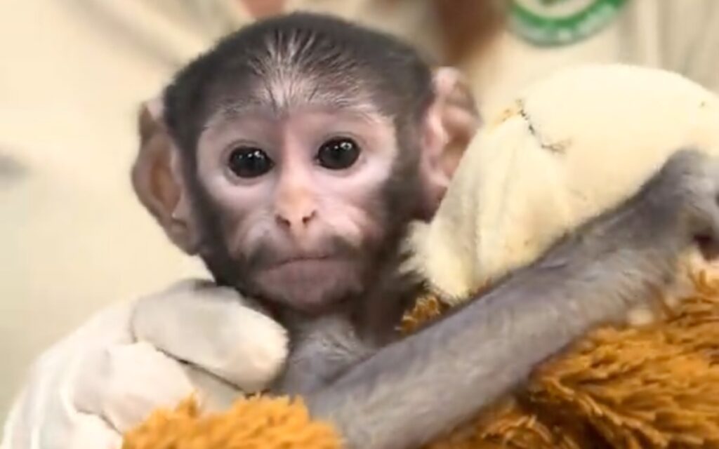 544e7a1b26b54d8dbb5368cf0950f1a5