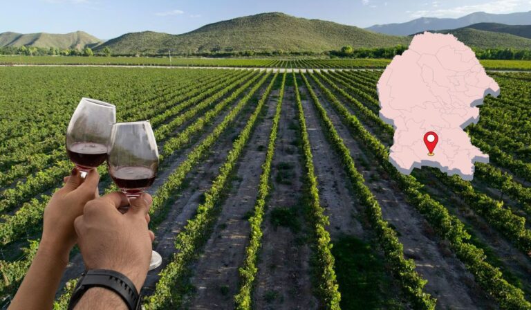 56013e738cac4d248c31d41c638ee88b