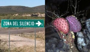 5e09c239007e4eb69b3f9dd4511031d4