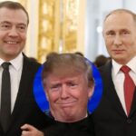 6b5d5a64219e49b9bb7047270923a055