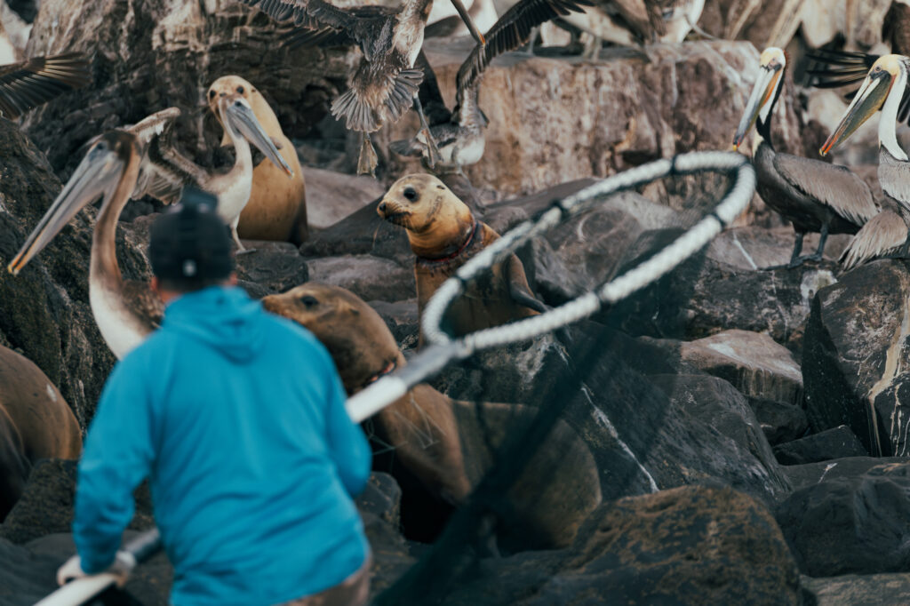 6c8ba7c80a4e4cd4b8f321598ed8d95d