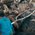 6c8ba7c80a4e4cd4b8f321598ed8d95d