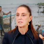 6fa9b16da77447e68c868716bcb15abd