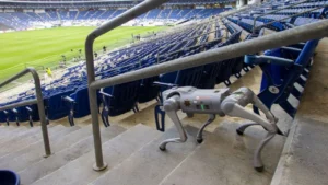 6ff9e8e5cff645a4b318b18cc9f63c1f