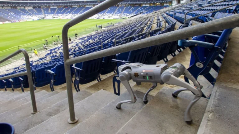 6ff9e8e5cff645a4b318b18cc9f63c1f