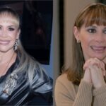 76c388192560474db2d661c5fc83d557