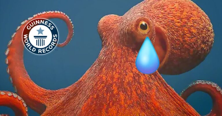 a0570ee7d4b7436fbe37bf534c2623c6