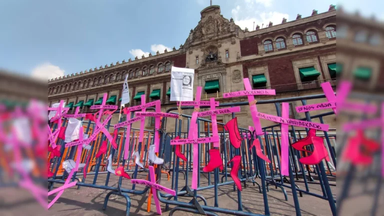 ae1f4bb1ea1345aeb319e4dd644694c1